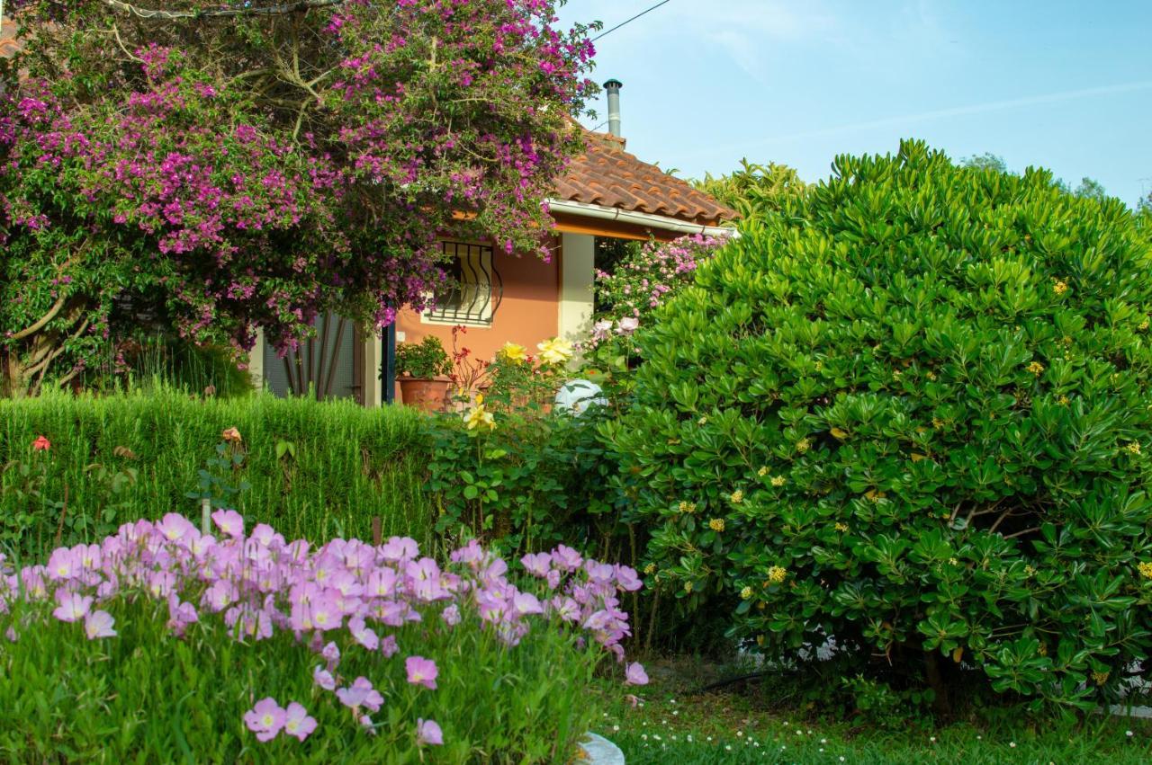 Rose Garden Melíkia Exterior foto